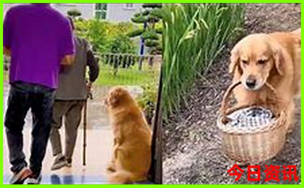 武汉有什么好玩的地方景点排行榜